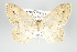  ( - GeoCR 34178)  @11 [ ] Copyright (2010) Unspecified Institut fuer Spezielle Zoologie und Evolutionsbiologie, Friedrich-Schiller Universitat Jena