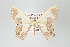  ( - GeoCR 36528)  @11 [ ] Copyright (2010) Unspecified Institut fuer Spezielle Zoologie und Evolutionsbiologie, Friedrich-Schiller Universitat Jena