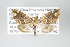  ( - GeoCR 36956)  @13 [ ] Copyright (2010) Unspecified Institut fuer Spezielle Zoologie und Evolutionsbiologie, Friedrich-Schiller Universitat Jena