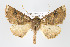  ( - ID 15909)  @15 [ ] Copyright (2010) Unspecified Institut fuer Spezielle Zoologie und Evolutionsbiologie, Friedrich-Schiller Universitat Jena