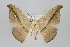  ( - ID 15922)  @14 [ ] Copyright (2010) Unspecified Institut fuer Spezielle Zoologie und Evolutionsbiologie, Friedrich-Schiller Universitat Jena