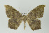 ( - ID 15948)  @13 [ ] Copyright (2010) Unspecified Institut fuer Spezielle Zoologie und Evolutionsbiologie, Friedrich-Schiller Universitat Jena