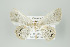  ( - ID 15969)  @13 [ ] Copyright (2010) Unspecified Institut fuer Spezielle Zoologie und Evolutionsbiologie, Friedrich-Schiller Universitat Jena