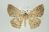  ( - ID 15984)  @12 [ ] Copyright (2010) Unspecified Institut fuer Spezielle Zoologie und Evolutionsbiologie, Friedrich-Schiller Universitat Jena