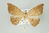  ( - ID 16008)  @13 [ ] Copyright (2010) Unspecified Institut fuer Spezielle Zoologie und Evolutionsbiologie, Friedrich-Schiller Universitat Jena