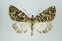  ( - ID 16020)  @11 [ ] Copyright (2010) Unspecified Institut fuer Spezielle Zoologie und Evolutionsbiologie, Friedrich-Schiller Universitat Jena