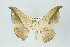  ( - ID 16040)  @13 [ ] Copyright (2010) Unspecified Institut fuer Spezielle Zoologie und Evolutionsbiologie, Friedrich-Schiller Universitat Jena