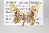  ( - ID 16336)  @13 [ ] Copyright (2010) Gunnar Brehm Institut fuer Spezielle Zoologie und Evolutionsbiologie, Friedrich-Schiller Universitat Jena