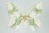  ( - ID 16515)  @13 [ ] Copyright (2010) Unspecified Institut fuer Spezielle Zoologie und Evolutionsbiologie, Friedrich-Schiller Universitat Jena