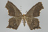  ( - ID 17810)  @14 [ ] Copyright (2010) Unspecified Institut fuer Spezielle Zoologie und Evolutionsbiologie, Friedrich-Schiller Universitat Jena
