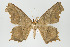  ( - ID 17971)  @14 [ ] Copyright (2010) Unspecified Institut fuer Spezielle Zoologie und Evolutionsbiologie, Friedrich-Schiller Universitat Jena