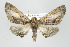  ( - ID 17988)  @14 [ ] Copyright (2010) Unspecified Institut fuer Spezielle Zoologie und Evolutionsbiologie, Friedrich-Schiller Universitat Jena