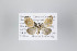  ( - ID 22147)  @13 [ ] Copyright (2011) Gunnar Brehm Institut fuer Spezielle Zoologie und Evolutionsbiologie, Friedrich-Schiller Universitat Jena