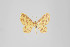  ( - ID 22566)  @13 [ ] Copyright (2011) Gunnar Brehm Institut fuer Spezielle Zoologie und Evolutionsbiologie, Friedrich-Schiller Universitat Jena