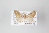  ( - ID 14245)  @12 [ ] Copyright (2011) Gunnar Brehm Institut fuer Spezielle Zoologie und Evolutionsbiologie, Friedrich-Schiller Universitat Jena