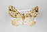  (Psaliodes nr. citrinata - ID 18220)  @13 [ ] Copyright (2011) Gunnar Brehm Institut fuer Spezielle Zoologie und Evolutionsbiologie, Friedrich-Schiller Universitat Jena
