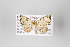  ( - ID 18611)  @12 [ ] Copyright (2011) Gunnar Brehm Institut fuer Spezielle Zoologie und Evolutionsbiologie, Friedrich-Schiller Universitat Jena