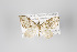  ( - ID 45623)  @12 [ ] Copyright (2011) Gunnar Brehm Institut fuer Spezielle Zoologie und Evolutionsbiologie, Friedrich-Schiller Universitat Jena