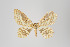  (Eois multilunata group - ID 45701)  @12 [ ] Copyright (2011) Gunnar Brehm Institut fuer Spezielle Zoologie und Evolutionsbiologie, Friedrich-Schiller Universitat Jena