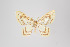  ( - ID 8593)  @12 [ ] Copyright (2011) Gunnar Brehm Institut fuer Spezielle Zoologie und Evolutionsbiologie, Friedrich-Schiller Universitat Jena
