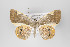  ( - ID 18691)  @14 [ ] Copyright (2013) Gunnar Brehm Institut fuer Spezielle Zoologie und Evolutionsbiologie, Friedrich-Schiller Universität Jena