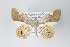  ( - ID 19006)  @14 [ ] Copyright (2013) Gunnar Brehm Institut fuer Spezielle Zoologie und Evolutionsbiologie, Friedrich-Schiller Universität Jena