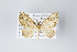  ( - ID 19325)  @12 [ ] Copyright (2013) Gunnar Brehm Institut fuer Spezielle Zoologie und Evolutionsbiologie, Friedrich-Schiller Universität Jena