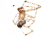  (Theridion neomexicanum - BIOUG07668-B02)  @13 [ ] CreativeCommons - Attribution (2016) CBG Photography Group Centre for Biodiversity Genomics
