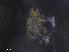  ( - BIOUG07884-D02)  @11 [ ] CreativeCommons - Attribution (2019) CBG Photography Group Centre for Biodiversity Genomics