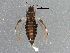  ( - BIOUG10187-A03)  @14 [ ] CreativeCommons - Attribution (2014) CBG Photography Group Centre for Biodiversity Genomics