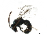  ( - BIOUG10337-C11)  @13 [ ] CreativeCommons - Attribution (2018) CBG Photography Group Centre for Biodiversity Genomics