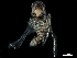  ( - BIOUG10362-G04)  @11 [ ] CreativeCommons - Attribution (2017) CBG Photography Group Centre for Biodiversity Genomics