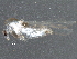  ( - BIOUG11186-H05)  @14 [ ] CreativeCommons - Attribution (2014) CBG Photography Group Centre for Biodiversity Genomics