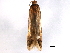  ( - BIOUG10885-H05)  @12 [ ] CreativeCommons - Attribution (2014) CBG Photography Group Centre for Biodiversity Genomics