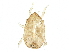  ( - BIOUG12394-C12)  @13 [ ] CreativeCommons - Attribution (2015) CBG Photography Group Centre for Biodiversity Genomics