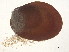  ( - CBG-A00293-B12)  @11 [ ] CreativeCommons - Attribution (2023) CBG Photography Group Centre for Biodiversity Genomics