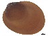  ( - CBG-A00293-C01)  @11 [ ] CreativeCommons - Attribution (2023) CBG Photography Group Centre for Biodiversity Genomics
