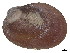  ( - CBG-A00293-C02)  @11 [ ] CreativeCommons - Attribution (2023) CBG Photography Group Centre for Biodiversity Genomics