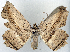  ( - 1246500_NGS)  @11 [ ] CreativeCommons - Attribution (2015) Smithsonian Institution Smithsonian Institution
