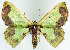  ( - 817409_NGS)  @11 [ ] CreativeCommons - Attribution (2015) Smithsonian Institution Smithsonian Institution