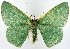  ( - 817661_NGS)  @11 [ ] CreativeCommons - Attribution (2015) Smithsonian Institution Smithsonian Institution