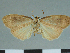  ( - CCDB-08662-G08_NGS)  @11 [ ] CreativeCommons - Attribution Non-Commercial Share-Alike (2014) Museum national d'Histoire naturelle Muséum national d'Histoire naturelle