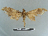  ( - CCDB-09453-A10_NGS)  @11 [ ] CreativeCommons - Attribution Non-Commercial Share-Alike (2014) Museum national d'Histoire naturelle Muséum national d'Histoire naturelle