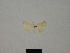  ( - BC ZSM Lep 84169_NGS)  @11 [ ] CreativeCommons - Attribution Non-Commercial Share-Alike (2014) Axel Hausmann/Bavarian State Collection of Zoology (ZSM) SNSB, Zoologische Staatssammlung Muenchen