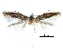  ( - CCDB-29066-A04_NGS)  @13 [ ] CreativeCommons - Attribution (2016) CBG Photography Group Centre for Biodiversity Genomics