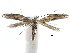  ( - CCDB-29066-A06_NGS)  @11 [ ] CreativeCommons - Attribution (2016) CBG Photography Group Centre for Biodiversity Genomics