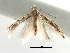  ( - CCDB-29066-A10_NGS)  @11 [ ] CreativeCommons - Attribution (2016) CBG Photography Group Centre for Biodiversity Genomics