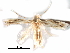  ( - CCDB-29066-A11_NGS)  @11 [ ] CreativeCommons - Attribution (2016) CBG Photography Group Centre for Biodiversity Genomics