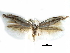  ( - CCDB-29066-A12_NGS)  @13 [ ] CreativeCommons - Attribution (2016) CBG Photography Group Centre for Biodiversity Genomics