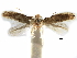  ( - CCDB-29066-B03_NGS)  @11 [ ] CreativeCommons - Attribution (2016) CBG Photography Group Centre for Biodiversity Genomics